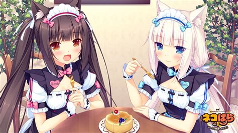 nekopata|nekopara descargar pc.